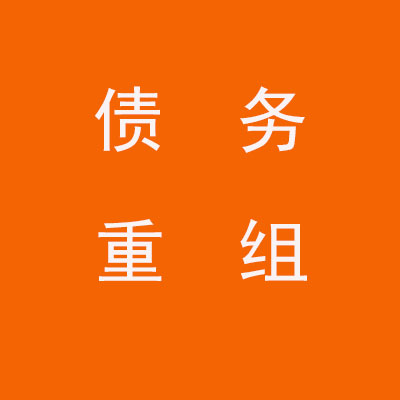 黎母山镇个人债务重组优化